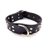 Rouge Garments Black Leather Studded Collar - Adult Planet - Online Sex Toys Shop UK